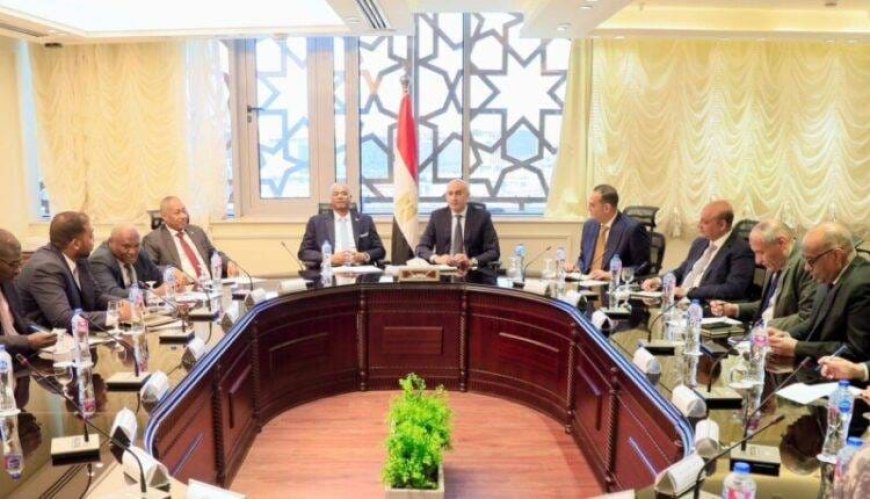 تشكيل لجنة مشتركة...مصر: مستعدون لتقنين أوضاع المدارس السودانية 