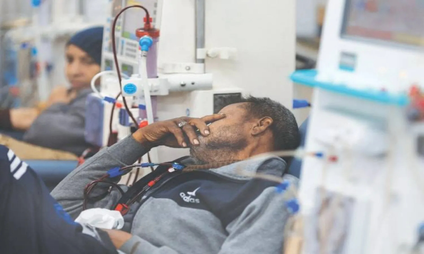 نصائح ذهبية للمحافظة على صحة الكلى 