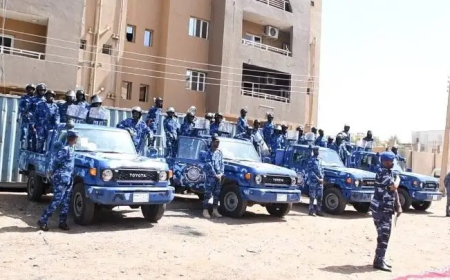 الحكومة: تشكيل "قوة ضاربة" لقطع دابر تهريب الذهب