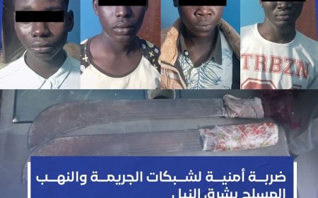 تفكيك "عصابة" روعت المواطنين بشرق النيل 