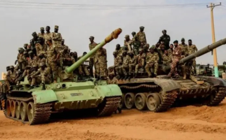 الجيش يحرر "التكمة" ويؤمن وصول قوافل الإمداد للدلنج وكادقلي