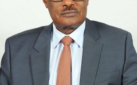 الدكتور الدرديري محمد أحمد يكتب...ألمانيا: مالها وما للسودان! (قراءة في دوافع مؤتمر برلين)