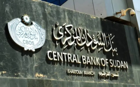 تجاوزت 24 تريليون جنيه...قفزة في الودائع المصرفية بالسودان 