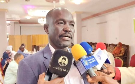 آدم مهدي يكتب ... شرق دارفور تنتصر للتعليم رغم التحديات