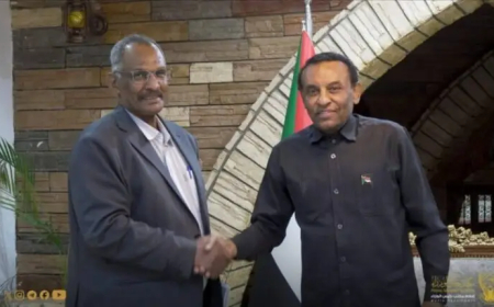 ترتيبات لإعادة ( 100) ألف مواطن من مصر في ثلاثة أشهر