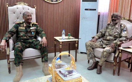 البرهان: الأبواب مشرعة أمام كل من يريد إلقاء السلاح 