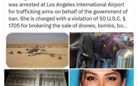 السلطات الأمريكية تعتقل مقيمة إيرانية بتهمة التورط في تهريب أسلحة وذخائر إلى السودان