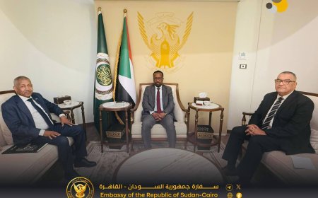 الإعيسر يتكفل بتسيير رحلة مجاناً عبر القطار للسودانيين من القاهرة