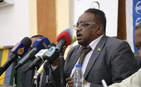 المحافظ: 6 مليارات دولار خسائر أصول مشروع الجزيرة المنهوبة