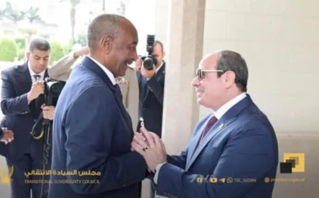 خط أحمر...السيسي: نرفض أي محاولات لتقسيم السودان أو إنشاء كيانات موازية 