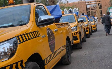 انطلاق مشروع الاستجابة السريعة لمكافحة نواقل الأمراض بولايات السودان   