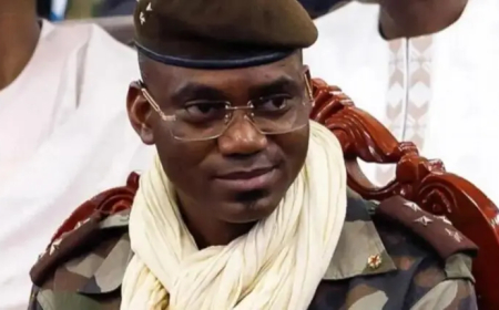 في هجمات للمتمردين...مقتل وزير الدفاع المالي 