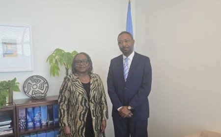 مستشار البرهان ل"مسؤولة أممية": اللغة الغامضة التي تستخدمها بعض الأطراف الدولية تخلق نوعاً من الحصانة لمجرمي المليشيا    