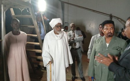 المنصوري: إغلاق مضيق "هرمز" فرصة كبيرة للترويج للحوم السودانية