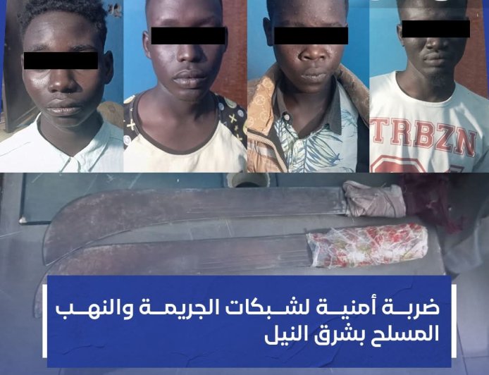 تفكيك "عصابة" روعت المواطنين بشرق النيل 