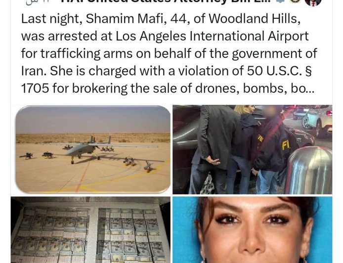 السلطات الأمريكية تعتقل مقيمة إيرانية بتهمة التورط في تهريب أسلحة وذخائر إلى السودان