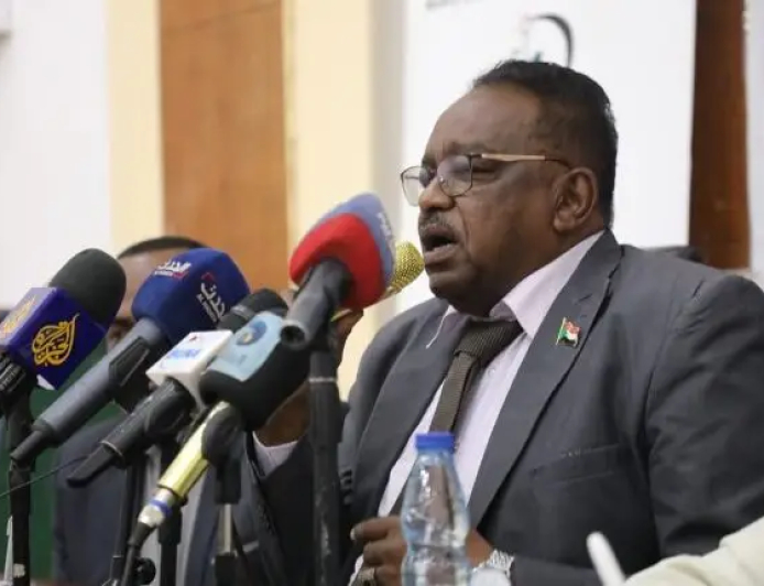 المحافظ: 6 مليارات دولار خسائر أصول مشروع الجزيرة المنهوبة