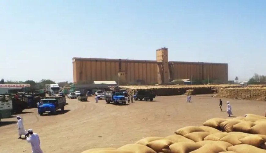 ارتفاع كبير في أسعار المحاصيل الزراعية بالقضارف