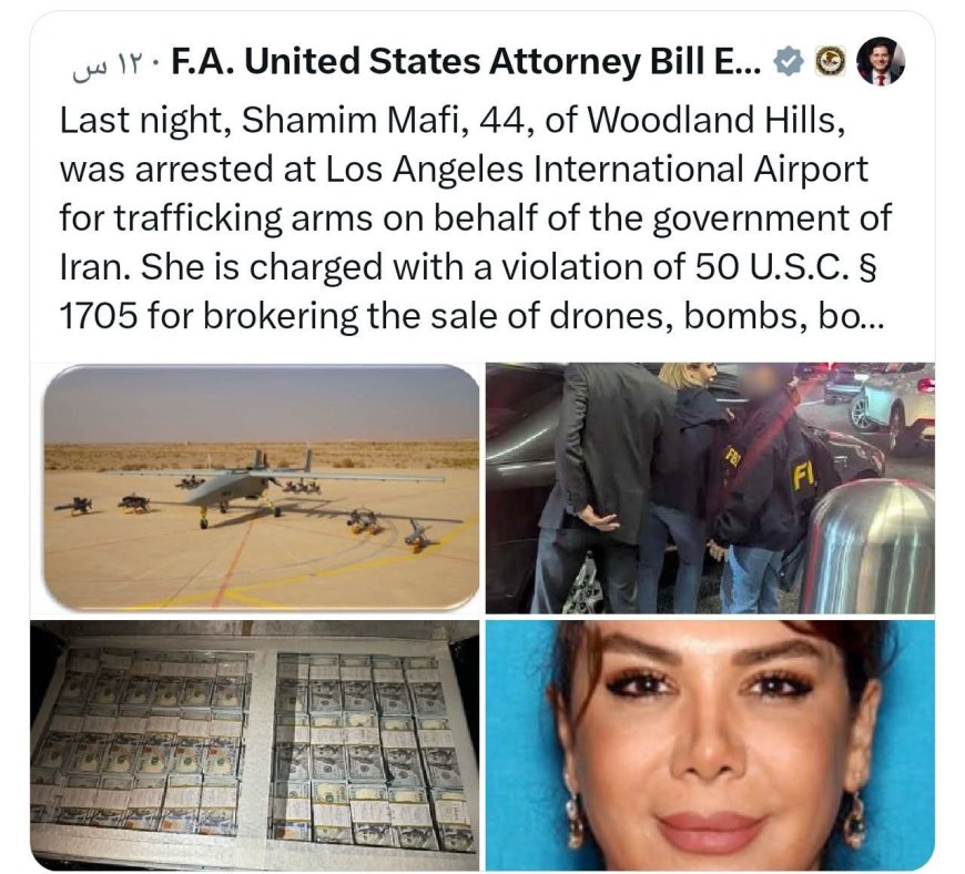 السلطات الأمريكية تعتقل مقيمة إيرانية بتهمة التورط في تهريب أسلحة وذخائر إلى السودان