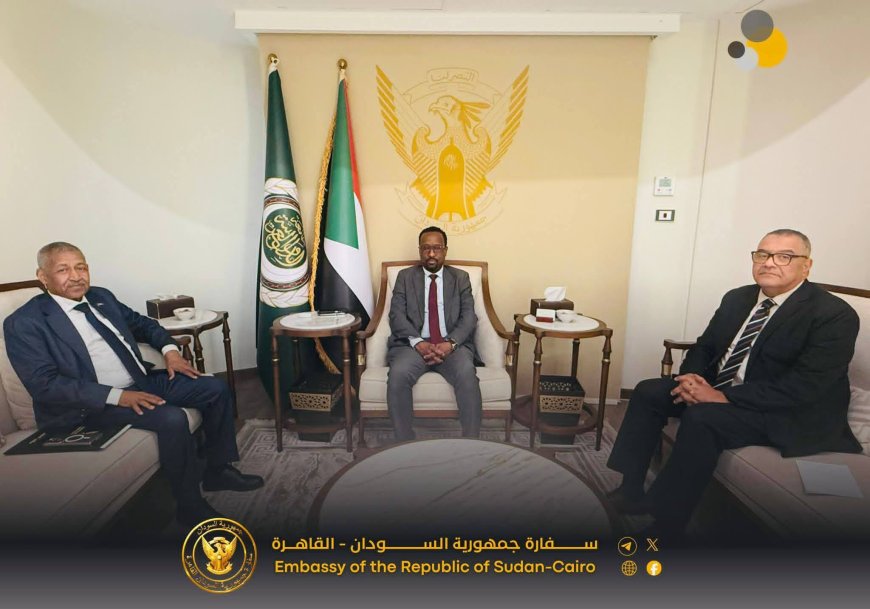 الإعيسر يتكفل بتسيير رحلة مجاناً عبر القطار للسودانيين من القاهرة