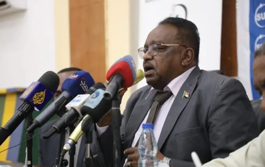 المحافظ: 6 مليارات دولار خسائر أصول مشروع الجزيرة المنهوبة