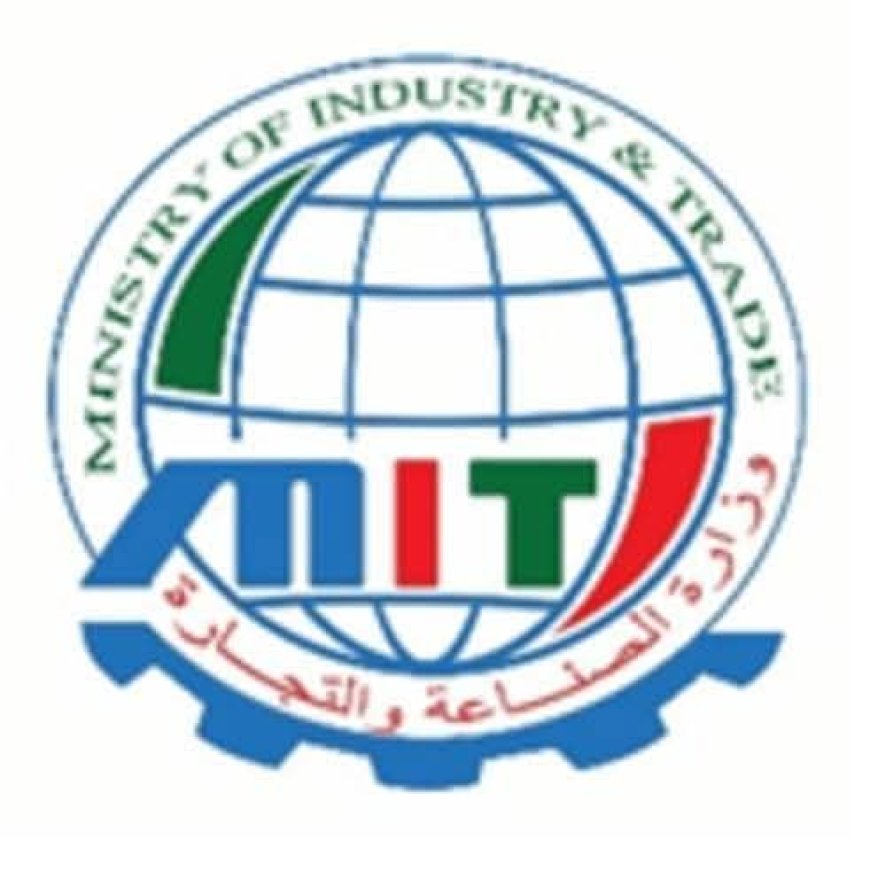 الصناعة والتجارة: بدء تنفيذ قرار حظر استيراد السلع الكمالية 10 مايو   