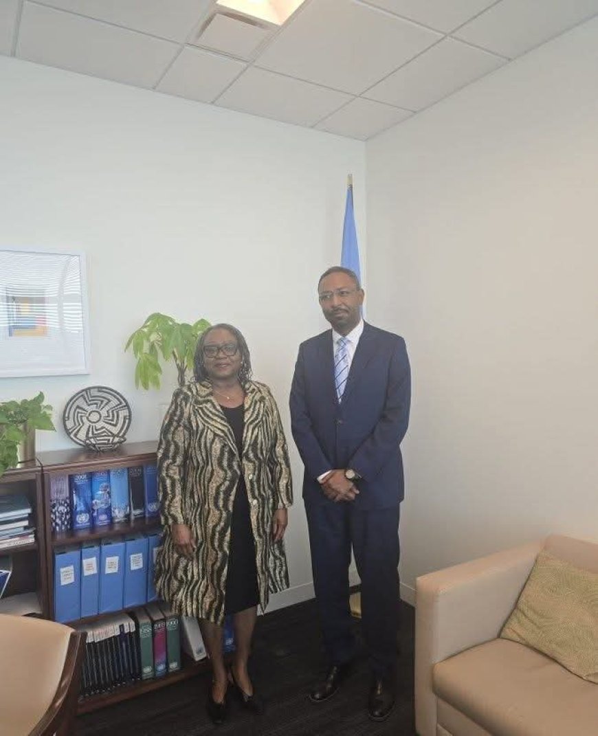 مستشار البرهان ل"مسؤولة أممية": اللغة الغامضة التي تستخدمها بعض الأطراف الدولية تخلق نوعاً من الحصانة لمجرمي المليشيا    