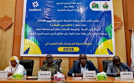 بنسبة نجاح 90.4% ...إعلان نتيجة امتحانات الشهادة المتوسطة بسنار 