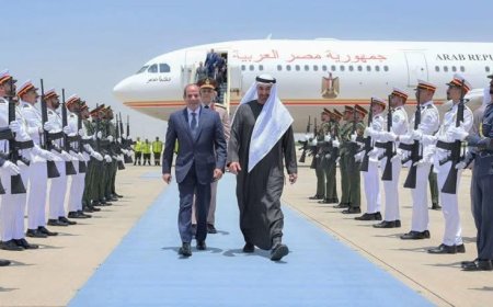 السيسي: ما يمس الإمارات يمس مصر