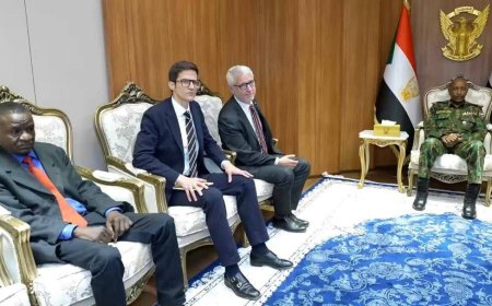 البرهان يُطلع وفد برلماني فرنسي على انتهاكات المليشيا 