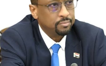 الإعيسر: شائعة حديثي عن الصحفيين محاولة سطحية لإثارة الفتنة 