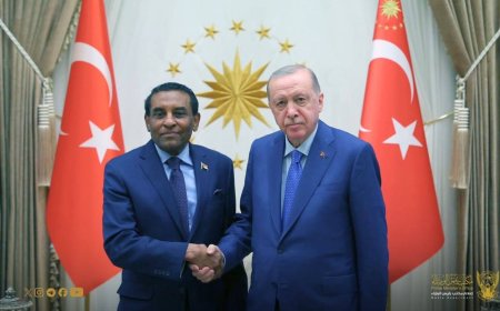 رئيس الوزراء يلتقي الرئيس التركي