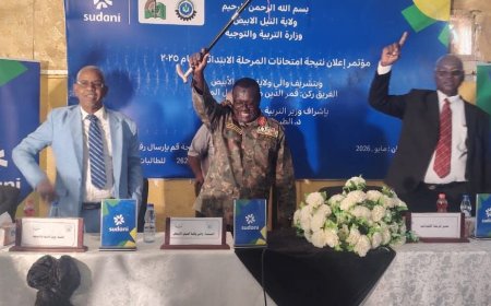 بنسبة نجاح بلغت 83.4%...إعلان نتيجة امتحانات الشهادة الابتدائية بالنيل الابيض    