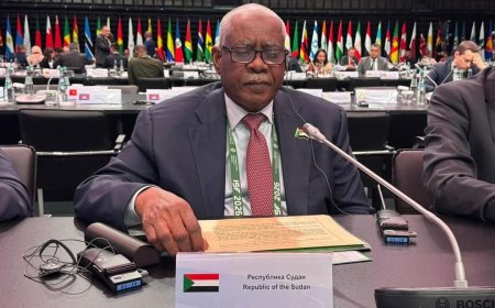 مفضل يترأس وفد السودان للاجتماع الدولي لكبار المسئولين المعنيين بالشئون الامنية بموسكو