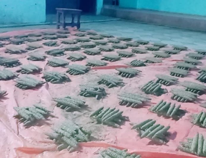احباط تهريب (1000) قندول "بنقو" بالجزيرة