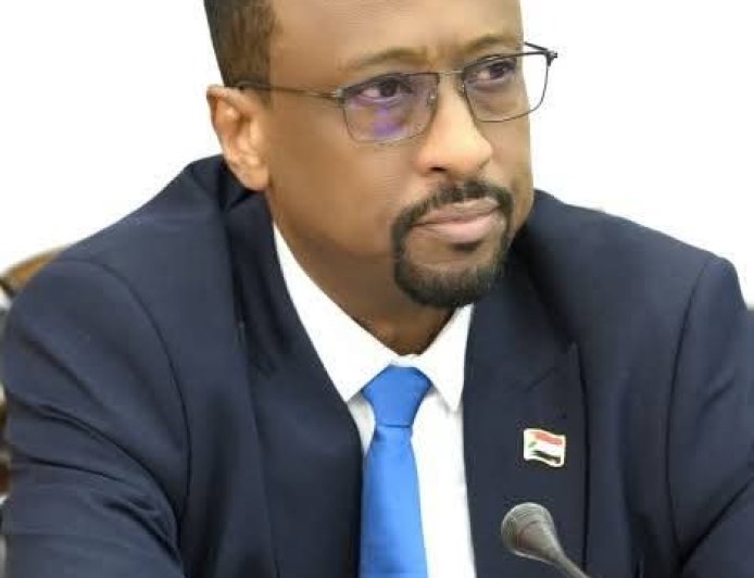 الإعيسر: شائعة حديثي عن الصحفيين محاولة سطحية لإثارة الفتنة 