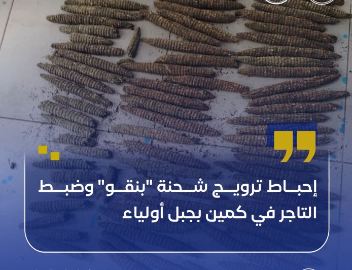 إحباط ترويج شحنة "بنقو" في الخرطوم 