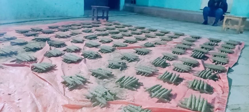 احباط تهريب (1000) قندول "بنقو" بالجزيرة