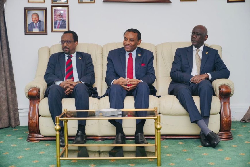رئيس الوزراء من لندن: مساعٍ حثيثة لتوحيد الجهود الثقافية والإعلامية لدعم السودان وكشف الانتهاكات