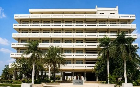 تجهيز صالة السينما في قصر الشباب والأطفال للمواطنين لمتابعة مباريات كأس العالم مجاناً   