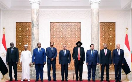لمناقشة تدفق الأسلحة وتطورات الحرب...مصر تجمع دول جوار السودان بالعلمين السبت