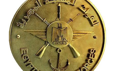 الجيش المصري: إعتقال 136 أجنبي في بؤر إجرامية جنوب مصر 