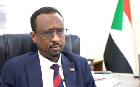 الإعيسر: ما تتعرض له الأبيض من قصف وترهيب من المليشيا لن يزيد أهلها إلا صموداً وثباتاً