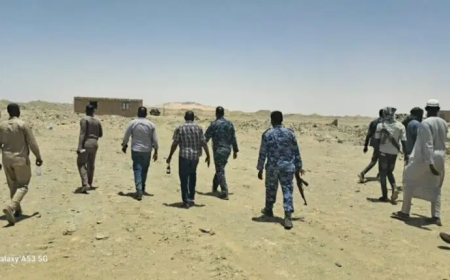 فتح بلاغات ضد معدنين وابادة مواد كيميائية ضاره بسوق “الخناق” بالشمالية