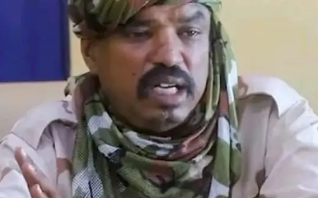 إعتقال أبرز قادة المليشيا في الحدود التشادية 