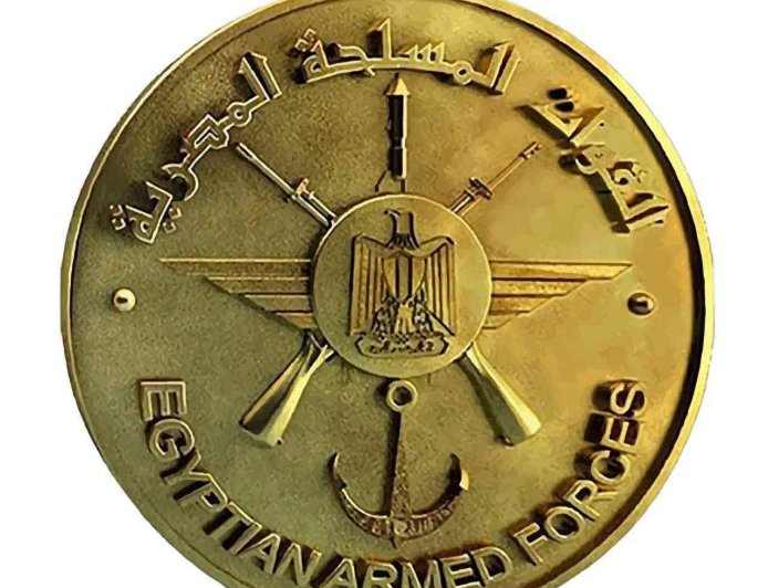 الجيش المصري: إعتقال 136 أجنبي في بؤر إجرامية جنوب مصر 