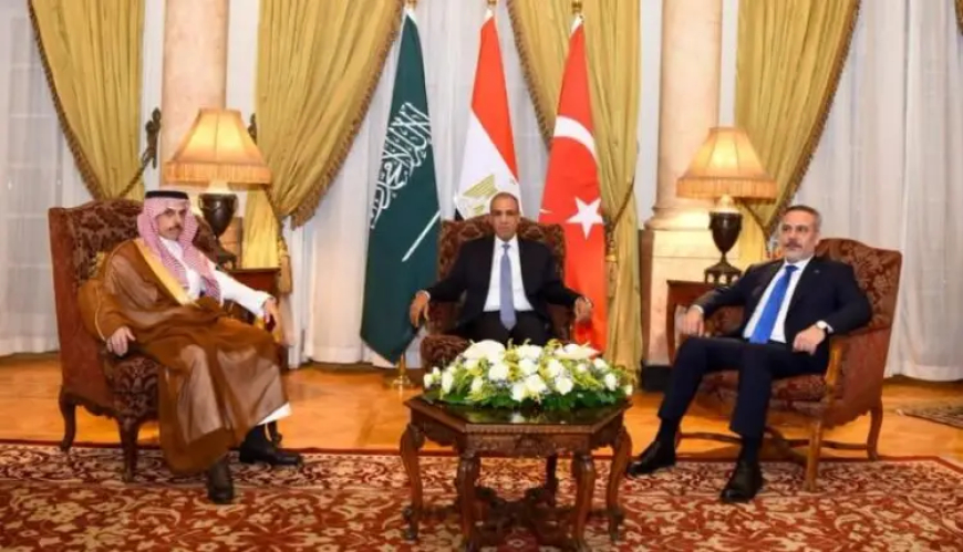 مباحثات بين " مصر _ السعودية _تركيا " وتنسيق مشترك بشأن تطورات الأوضاع بالسودان