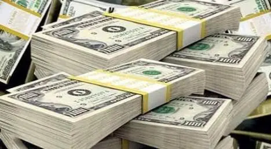 بكميات كبيرة...البنك المركزي يواصل ضخ العملات الأجنبية للبنوك
