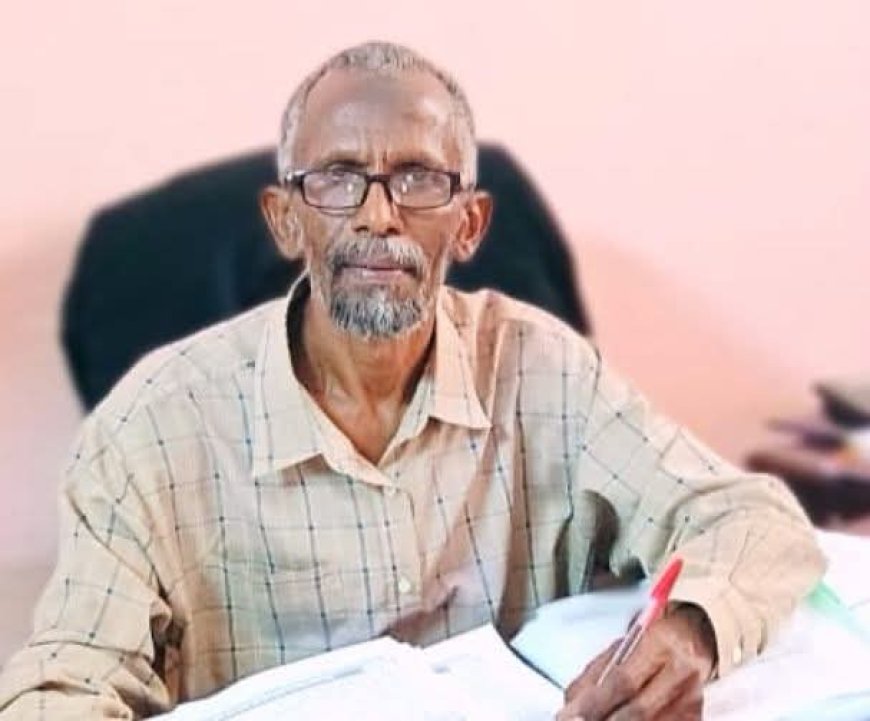 600 شخص يتنافسون على 300 وظيفة للمعلمين بالقضارف