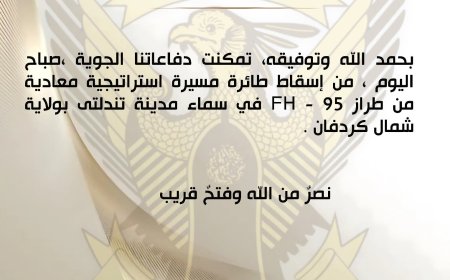 الجيش: إسقاط مسيرة استراتيجية معادية من طراز FH - 95 في تندلتى بشمال كردفان 